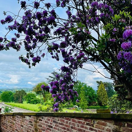 Llanerchydol Hall Suites Welshpool Eksteriør bilde